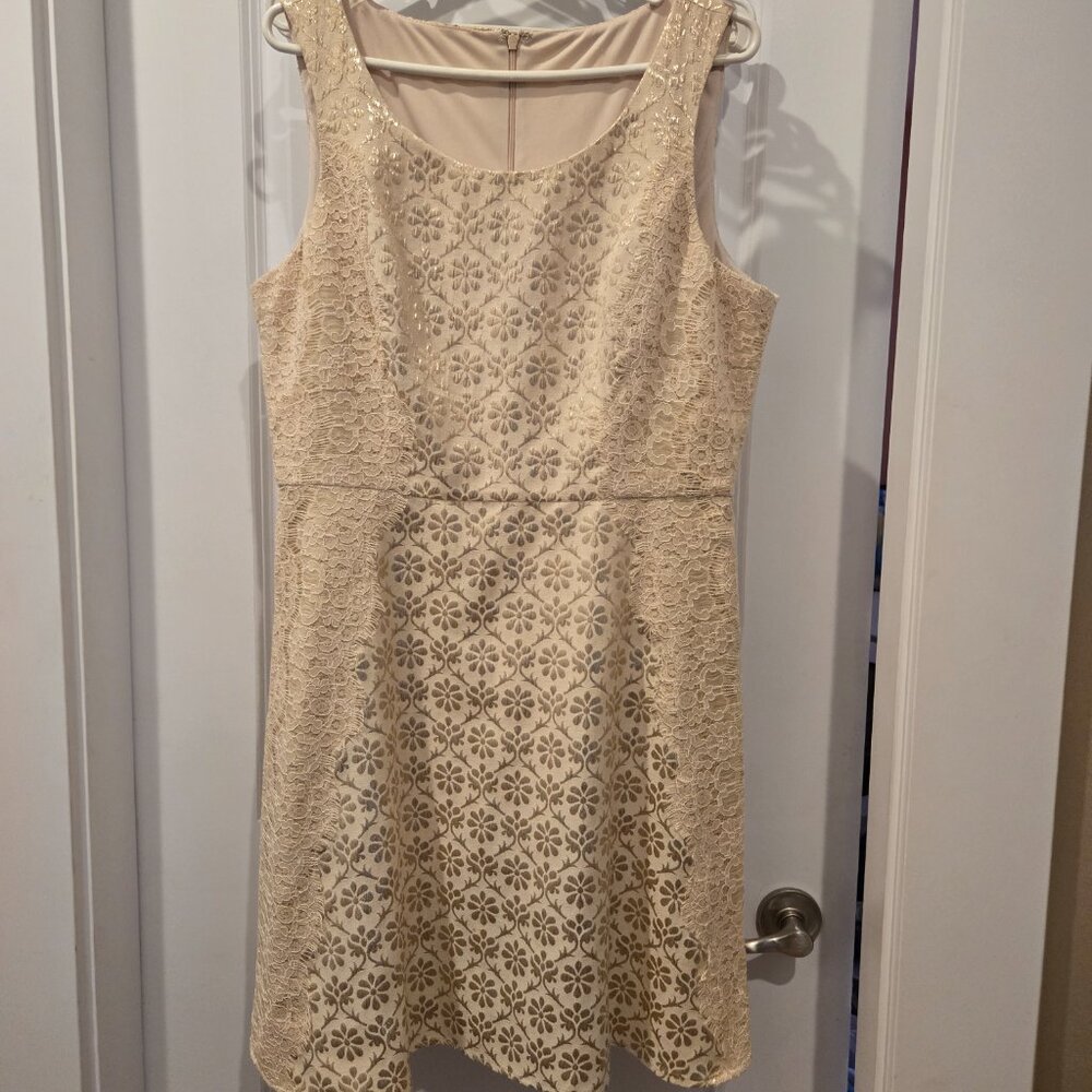 Ladies dress
